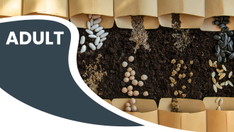 Brown seed packets spilling seeds onto soil with 'ADULT' in bold text on a dark shape.