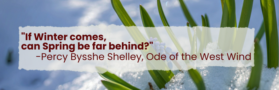 Green leaves emerging from snow with a quote overlay.