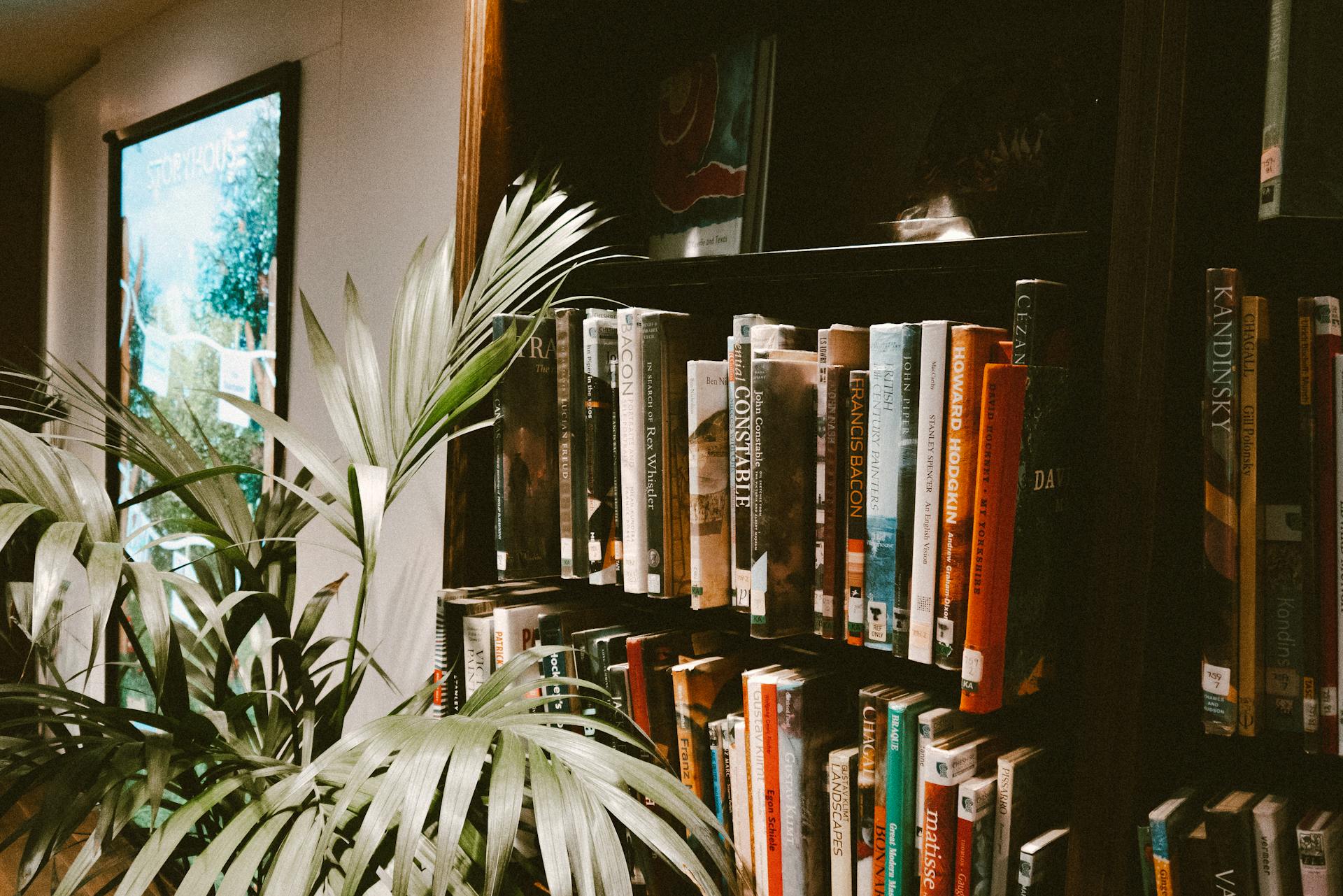 Dark bookshelf with books, plant, and a window.
