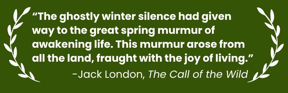 Quote from Jack London on a green background with laurel decorations.